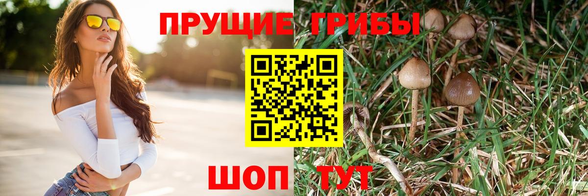 Павлово  Псилоцибиновые грибы ЛСД  Вход с VPN 
